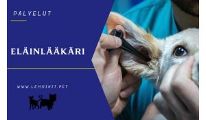 Vaajakosken Eläinlääkäriasema