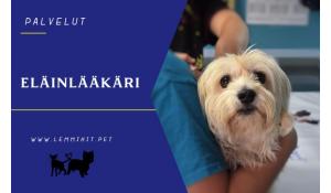 VakkaVet